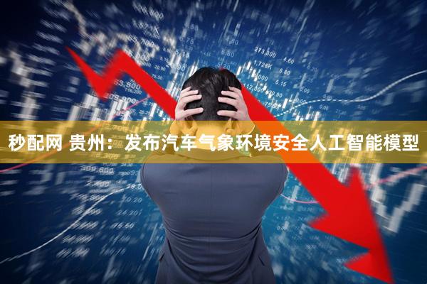 秒配网 贵州:发布汽车气象环境安全人工智能模型